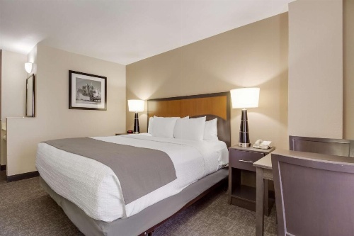 SureStay Plus Hotel by Best Western Houston Medical Center image 15